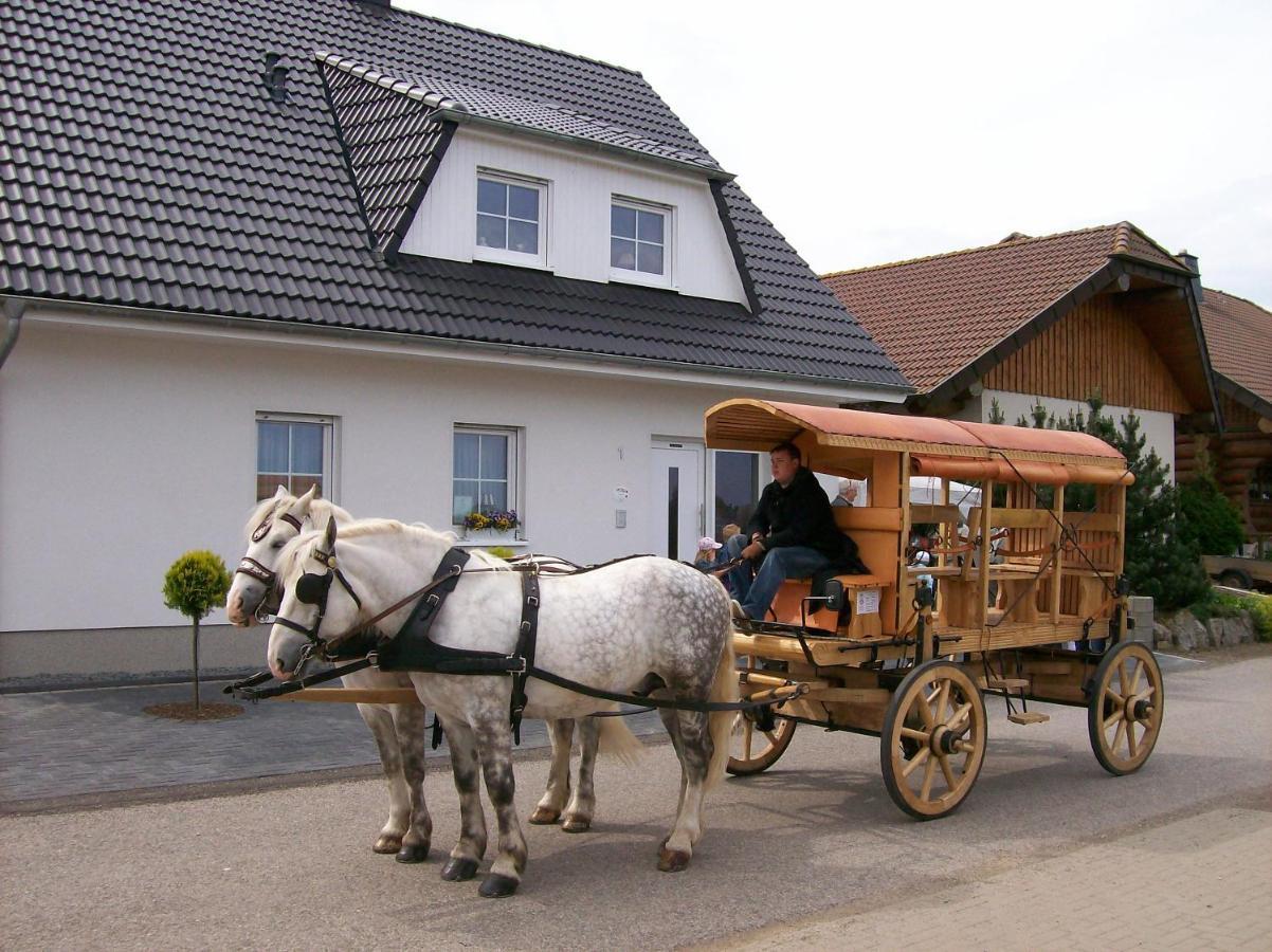 Gastehaus „Haus Am Hahnenberg“ Acomodação com café da manhã Marmagen Exterior foto